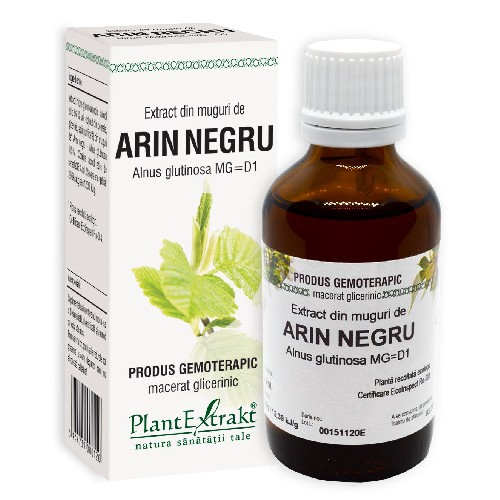 Extract Muguri Arin Negru, 50ml, Plantextrakt