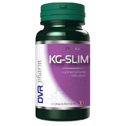 DVR KG Slim 60cps vitamix.ro