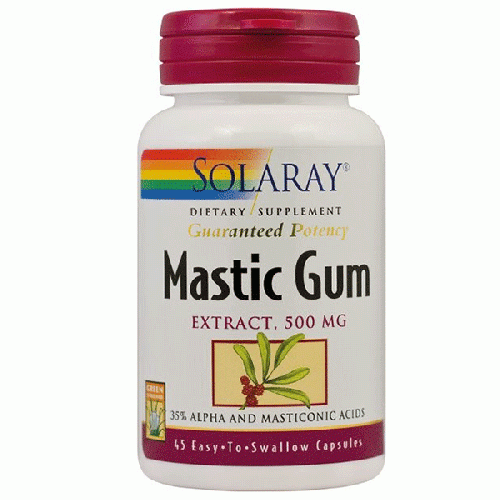 Mastic Gum 45cps Secom vitamix.ro imagine noua reduceri 2022