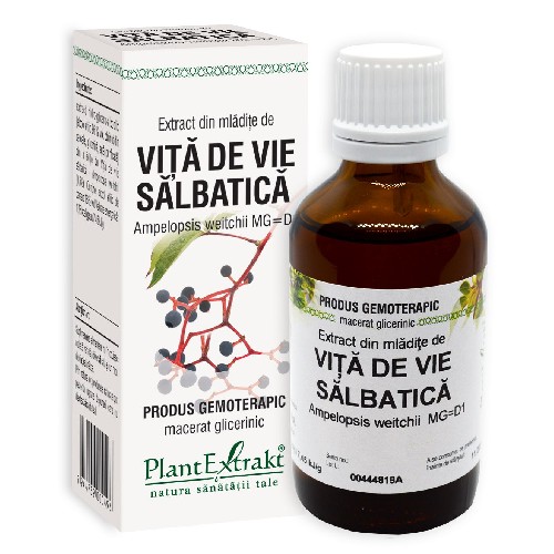 Extract din mladite de Vita de Vie Salbatica 50ml PlantExtrakt vitamix.ro