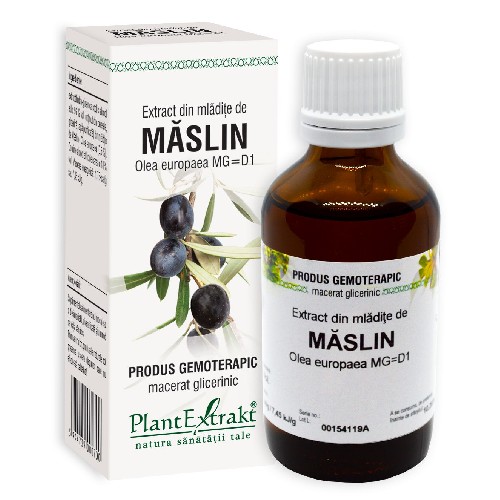 Extract Mladite Maslin, 50ml, Plantextract