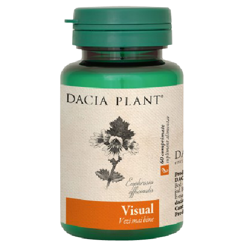 Visual 60cpr Dacia Plant vitamix poza
