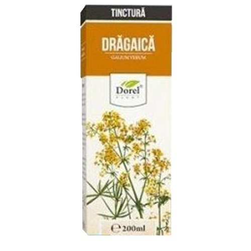 Tinctura de Dragaica 200ml Dorel Plant vitamix poza
