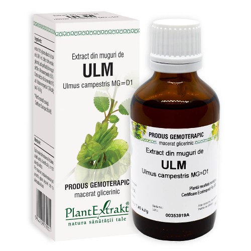 Extract din Muguri de Ulm Plantextrakt vitamix.ro