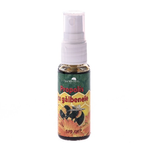 Spray Propolis cu Galbenele 25ml Transvital