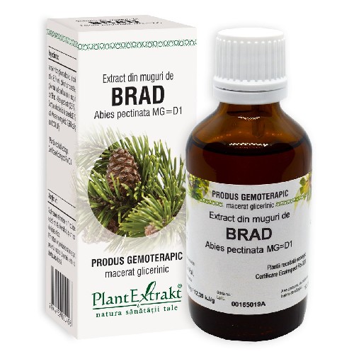 Extract Muguri De Brad 50ml Plantextrakt