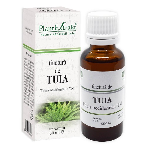 Tinctura Tuia 30ml Plantextrakt