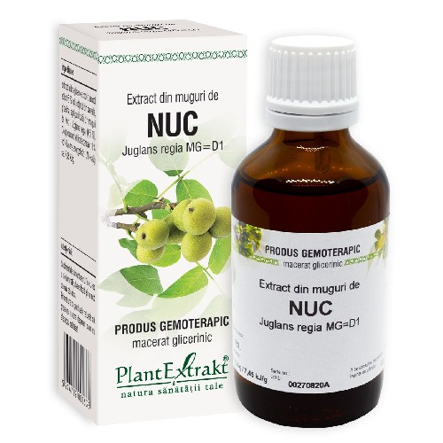 Extract din Muguri de Nuc 50ml Plantextrakt