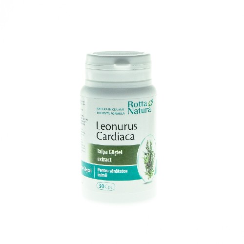 Leonorus Extract Talpa Gastei, 30cps, Rotta Natura