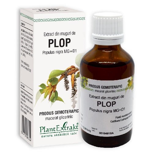 Extract din Muguri de Plop 50ml Plantextrakt