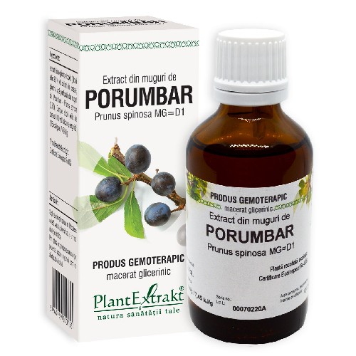 Extract Din Mug De Porumbar 50ml Plantextrakt