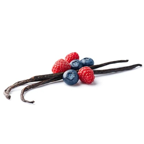 Pastaie de Vanilie Bourbon Eco 3-4gr Driedfruits
