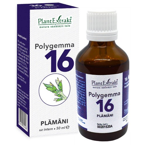 Polygemma 16 - Plamani - 50ml,  Plantextrakt