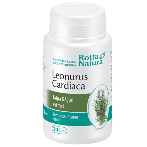 Leonurus Extract Talpa Gastei, 30cps, Rotta Natura