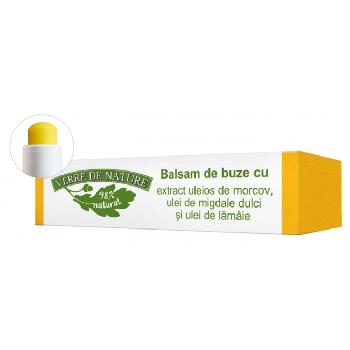 Balsam Buze Morcovi 4gr  Verre de Nature