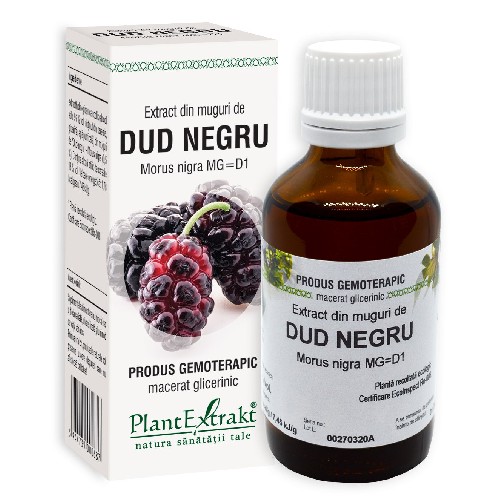 Extract Mug Dud Negru, 50ml, Plantextrakt